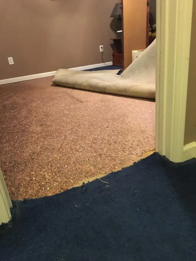 Carpet pad removal revealing water damage during Drying & Dehumidification in Menomonee Falls