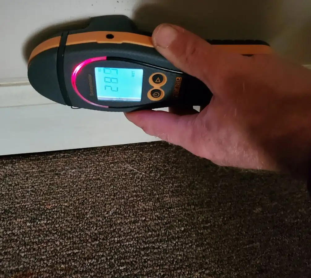 Moisture detection at baseboard during Mold Inspection & Testing in Menomonee Falls